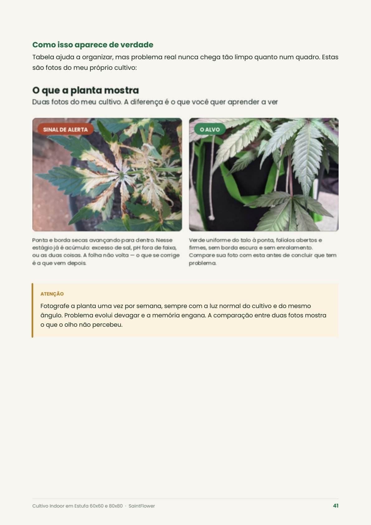Tabela de diagnóstico de problemas